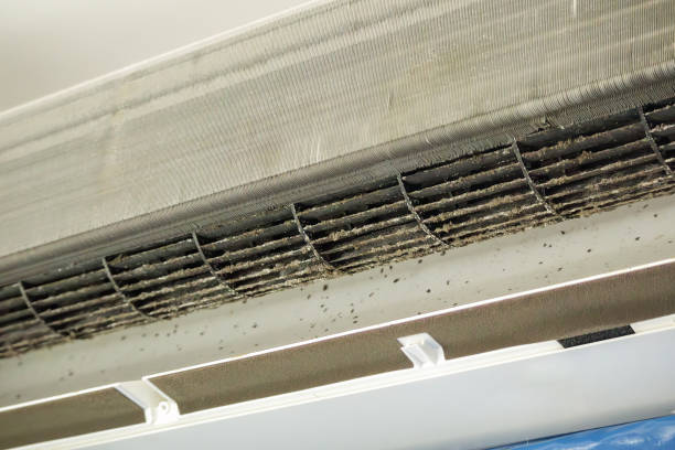 Best HVAC System Cleaning  in Canadian, TX